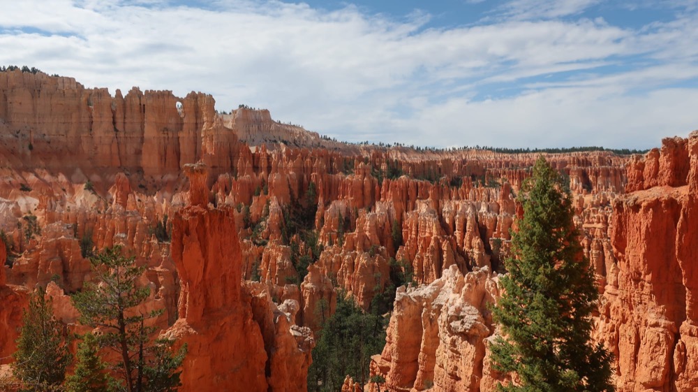 Red rock hoodoos and scattered pines at Bryce Canyon under a blue sky