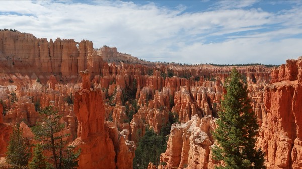 Red rock hoodoos and scattered pines at Bryce Canyon under a blue sky